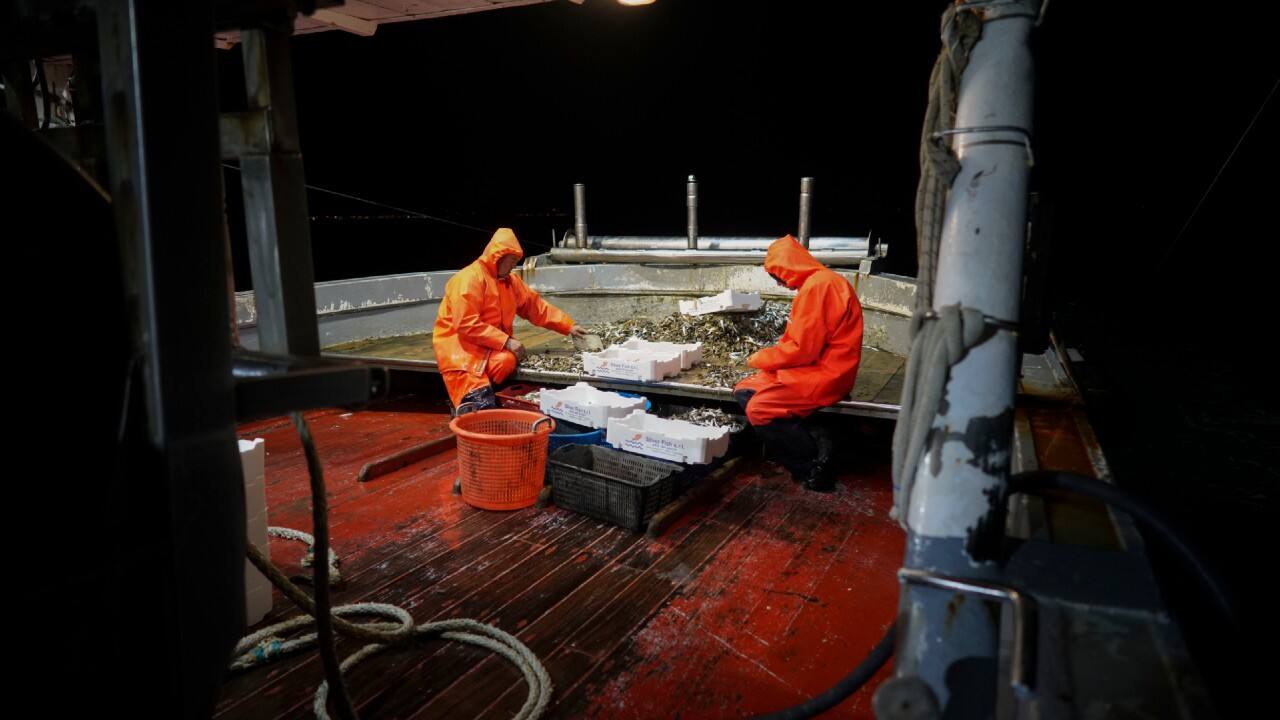 In pics How coronavirus has disrupted lives of fishermen in Italy