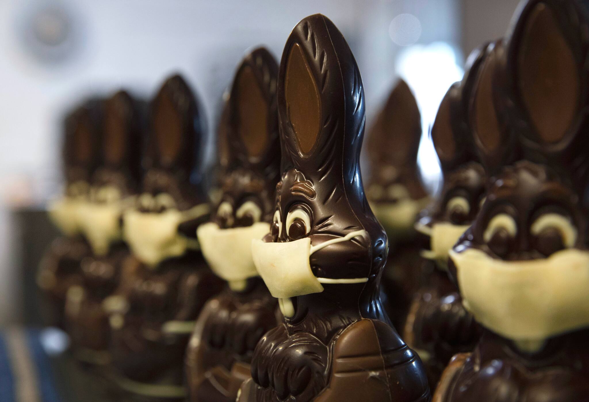 Coronavirus pandemic | Bunnies to the rescue as virus hits Belgian chocolatiers