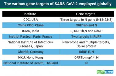 SARS COV-2