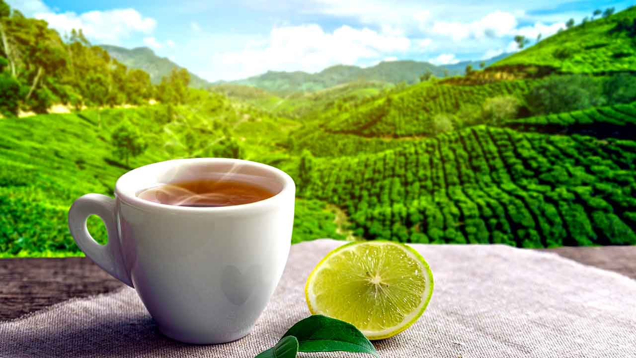 In the last three days, Tata Coffee has gained 7 percent from Rs 70.20 to Rs 75.25 dated April 24 to April 29, in the same time period we have seen an increase in the volume (38,261 to 147,438) and deliverable volume (8,943 to 32,557)