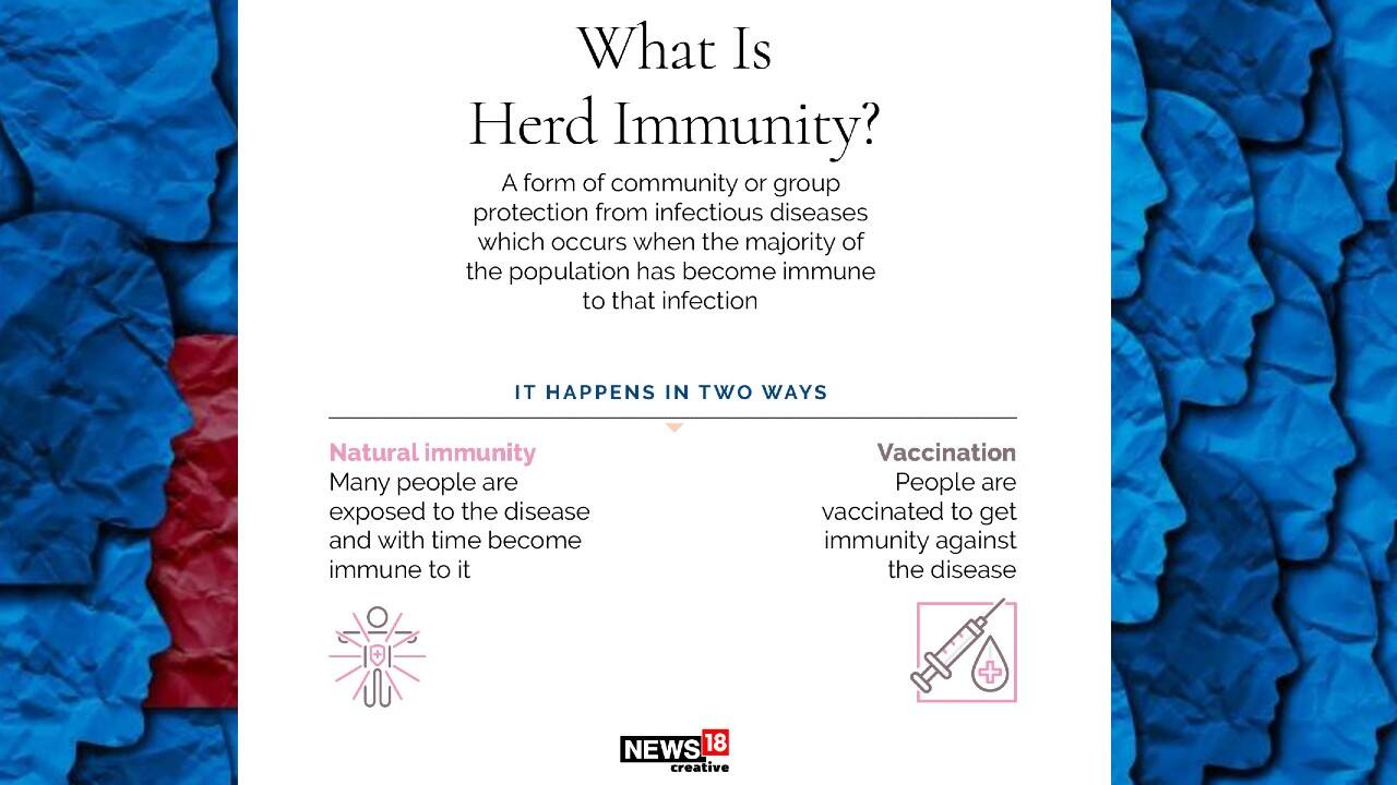 Herd immunity | A form of community or group protection from infectious diseases which occurs when the majority of the population has become immune to that infection. (Image: News18 Creative)