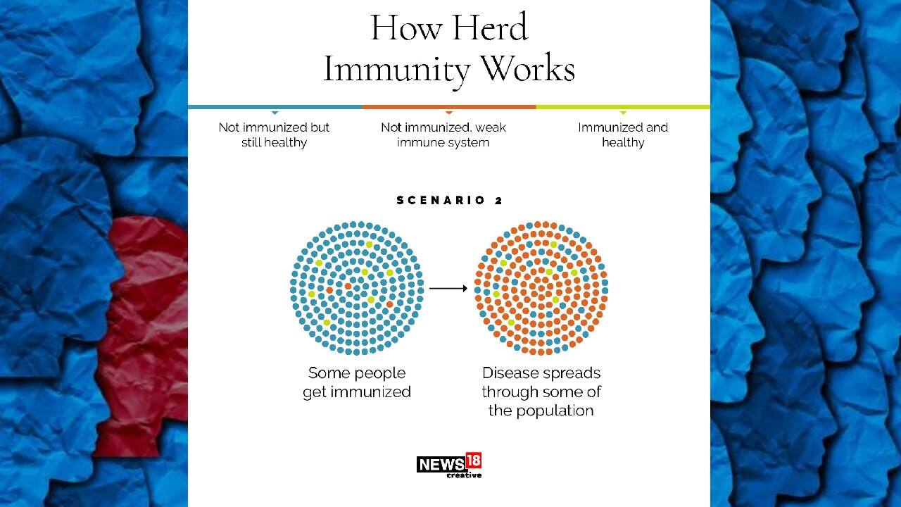 How herd immunity works | Scenario 2: Some people get immunized (Image: News18 Creative)