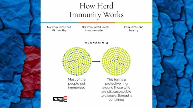 How herd immunity works | Scenario 3: Most of the people get immunized (Image: News18 Creative)