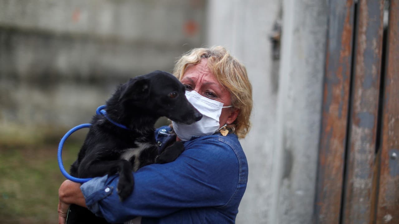 Coronavirus pandemic | Rio animal shelter delivers pets home to help ...