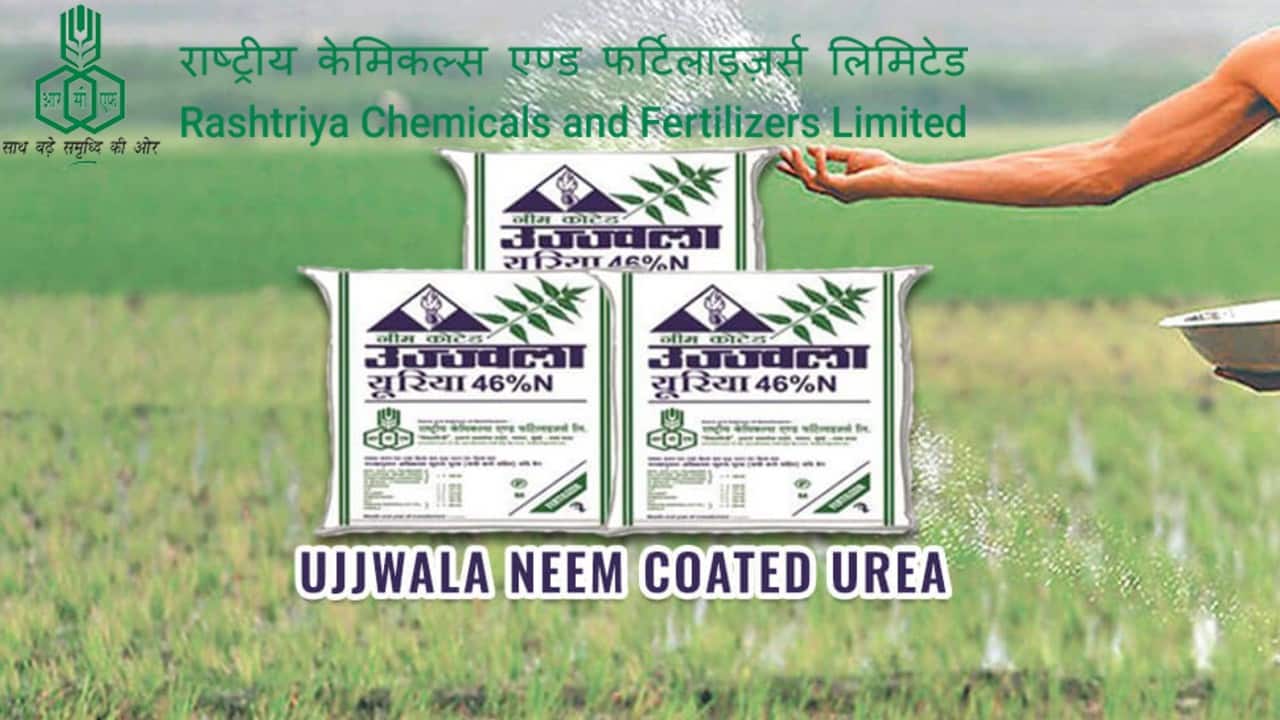 Rashtriya Chemicals & Fertilizers: Sanjay Rastogi to be a government nominee director on RCF board. Sanjay Rastogi is appointed as government nominee director on the board of RCF with effect from February 21, 2023. He is currently working as additional secretary and financial adviser in the Ministry of Chemicals and Fertilizers, Government of India. 
