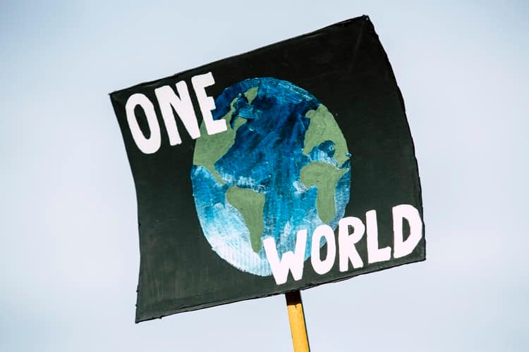 Book review: Mridula Ramesh’s new book on climate change makes us sit up and clench our teeth