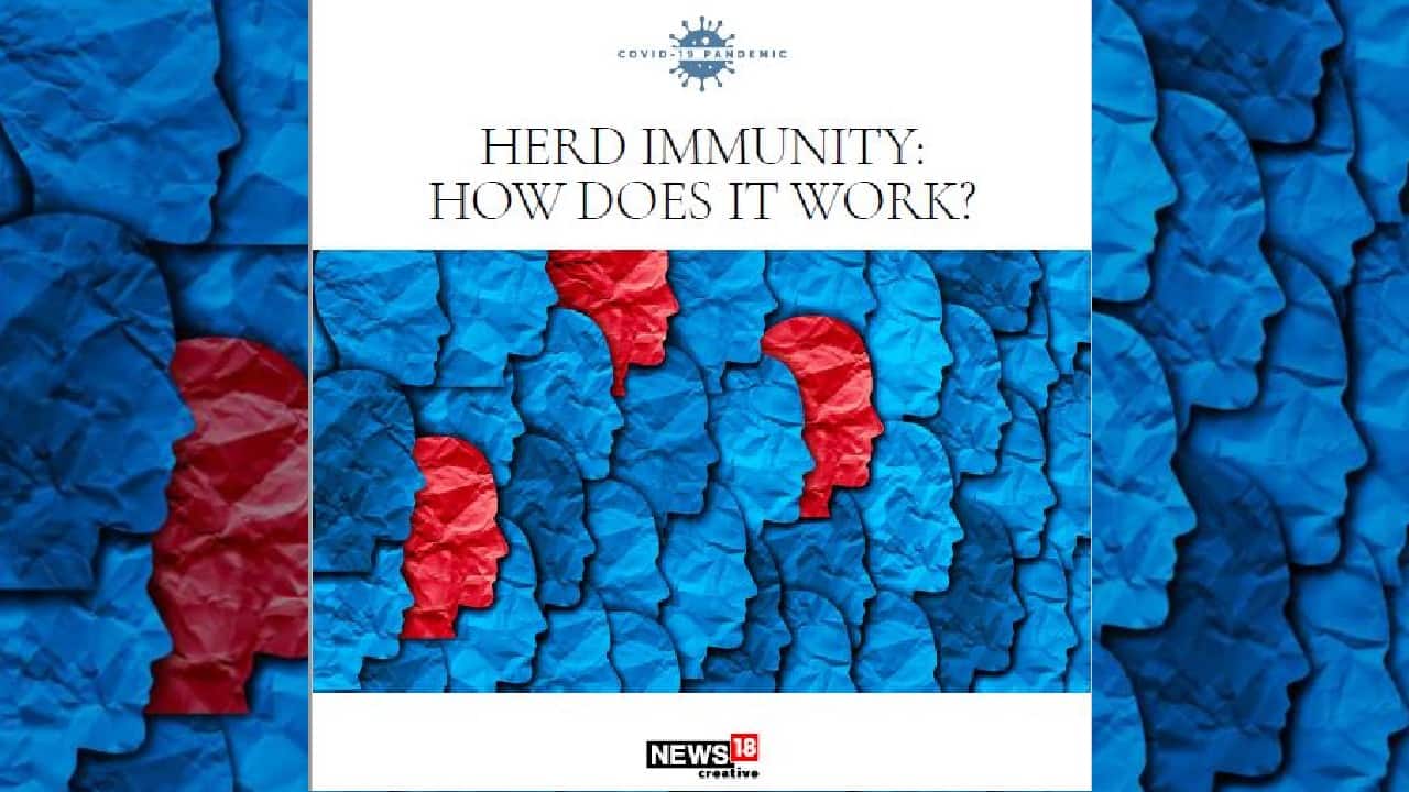 In-Depth: Is Herd Immunity our best bet in the fight against coronavirus? In-Depth: Is Herd Immunity our best bet in the fight against coronavirus?