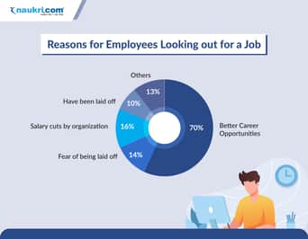 preview-gallery-Jobseeker-survey-infographic-1