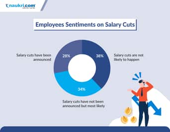 preview-gallery-Jobseeker-survey-infographic-4
