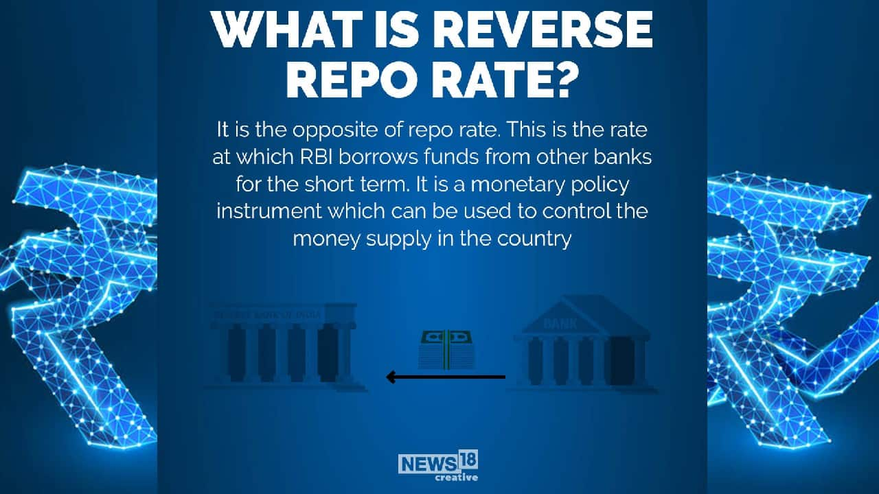 in-pics-rbi-repo-rate-cut-all-you-need-to-know-about-repo-and