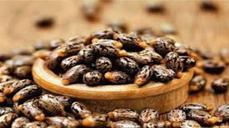 Commodity Futures | A likely breakout of a rounding bottom pattern in Castor Seed