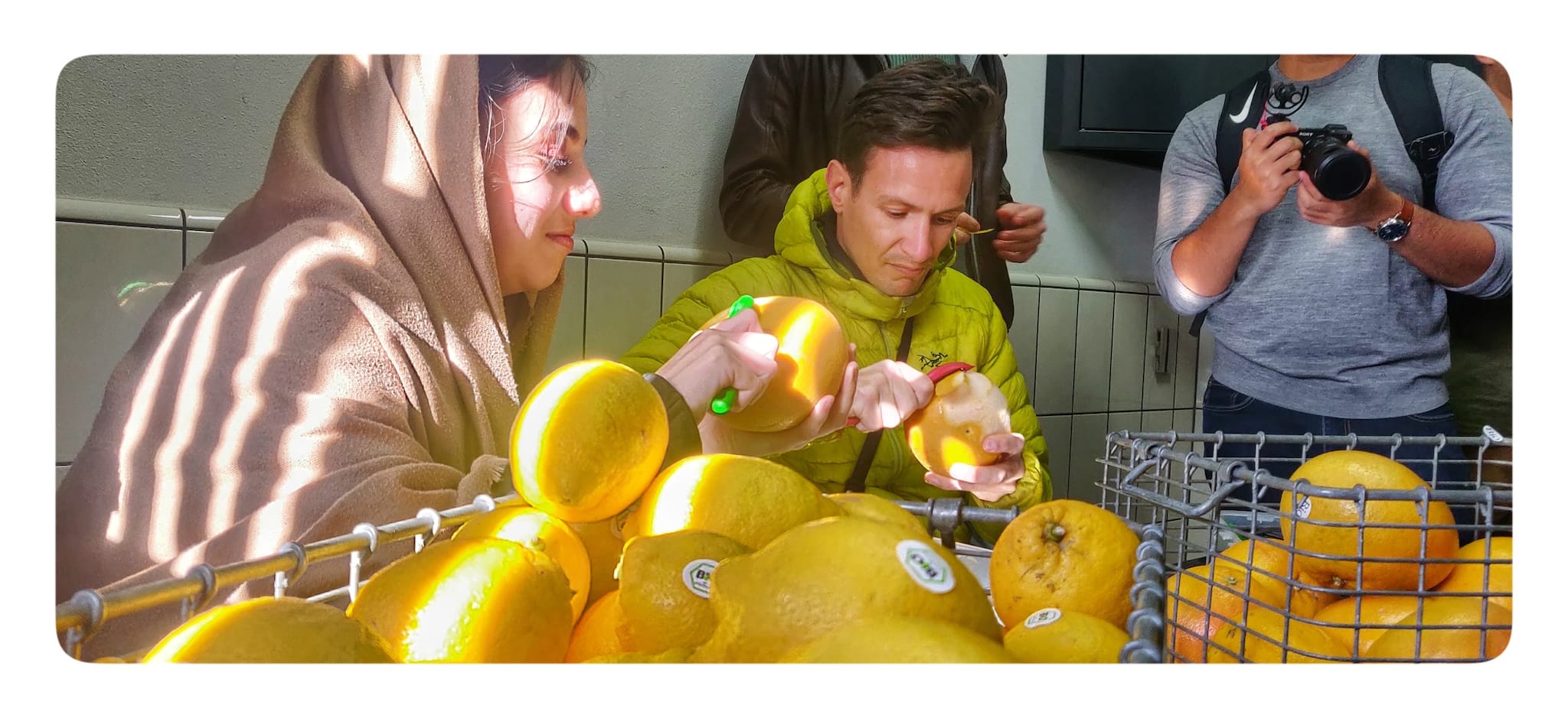 IMG_20200210_131146_optimized_optimized-01-01