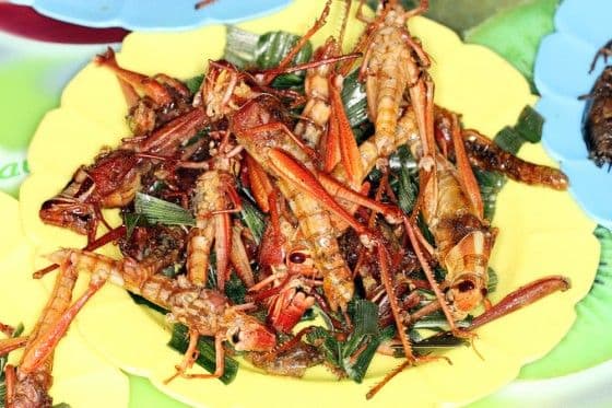 Fried locusts prepared by Chef Moshe Basson (Photo credit: Miriam Kresh).