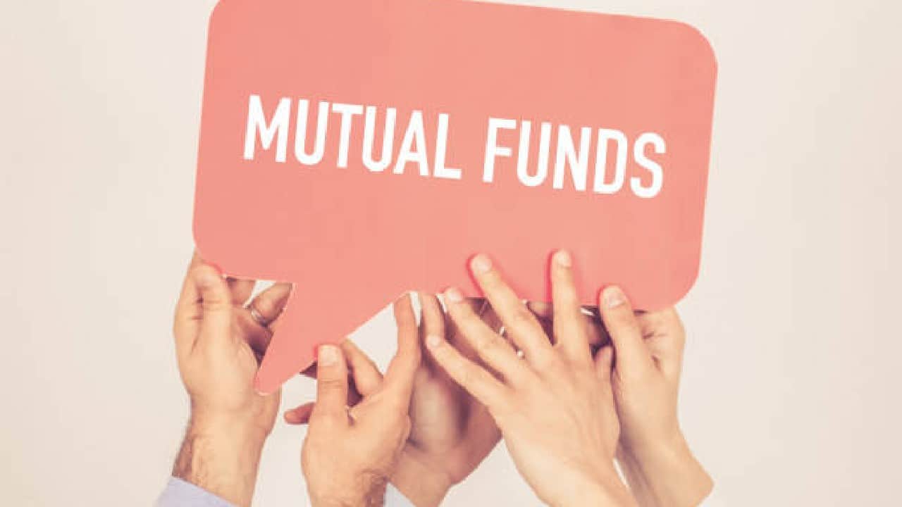 Large Cap Fund | Net inflows for May 2020: Rs 1555.6 crore. (Image: Shutterstock)