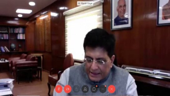 Cut prices to sell homes, Piyush Goyal tells developers