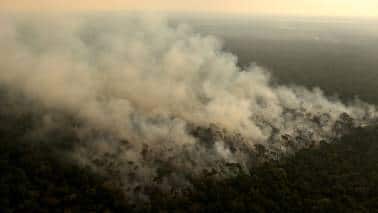 Is India really a global climate leader? Is India really a global climate leader?