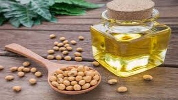 Ruchi Soya Industries jumps 13% post listing of FPO shares