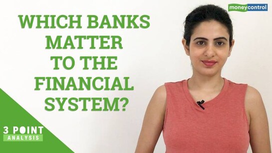 Which banks dominate the Indian financial sector?