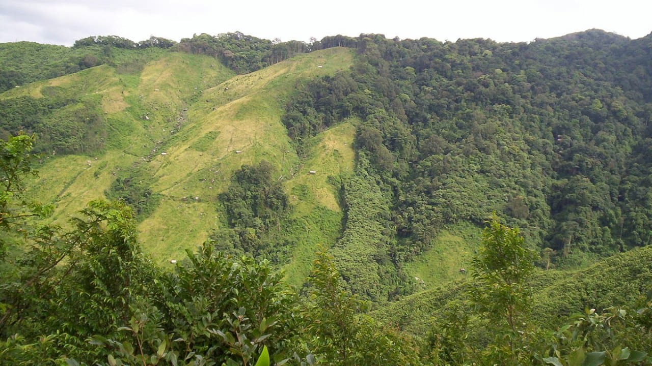 World Environment Day 2020: How raging issues in biodiversity-rich northeast India continue to be ignored World Environment Day 2020: How raging issues in biodiversity-rich northeast India continue to be ignored