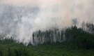Siberian heat wave is a 'warning cry' from the Arctic, climate scientists say