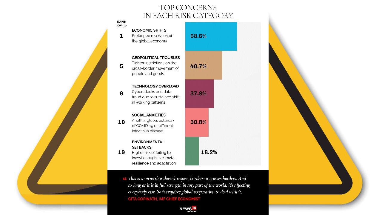 Top concerns in each risk category. (Image: News18 Creative)