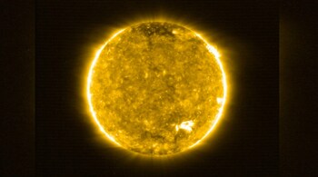 A European Space Agency (ESA) and NASA spacecraft has snapped the closest pictures ever taken of the sun, revealing countless little “campfires” flaring everywhere. On July 16 scientists released the first images taken by Solar Orbiter. Solar Orbiter is an international collaboration between the ESA, and NASA, launched on February 9 this year to study the Sun. (Image: Solar Orbiter/EUI Team (ESA & NASA); CSL, IAS, MPS, PMOD/WRC, ROB, UCL/MSSL/ via AP)