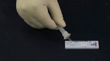 Representative Image (AP Photo/Mahesh Kumar A.)