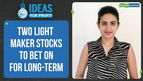 Are Lumax and Fiem good long-term bets?