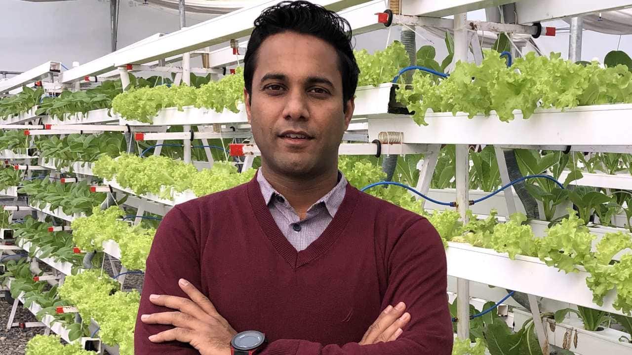 Gurugram startup takes no-soil route to farming in urban areas Gurugram startup takes no-soil route to farming in urban areas