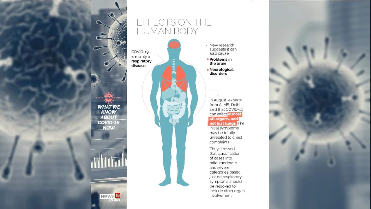 In Pics Covid 19 Symptoms Modes Of Transmission And Effects On Human Body What We Know Now