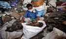 UN Study: World's pile of electronic waste grows ever higher