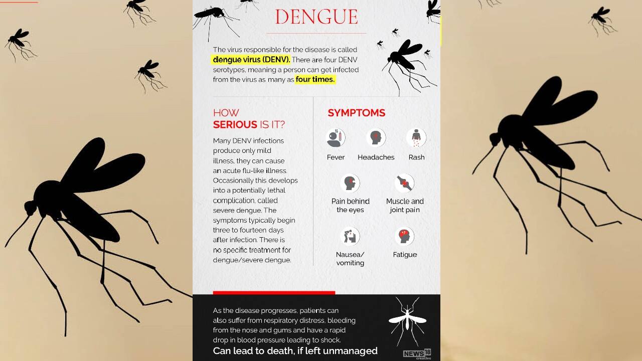 In pics | A look at mosquito-borne diseases spreading during the rainy ...