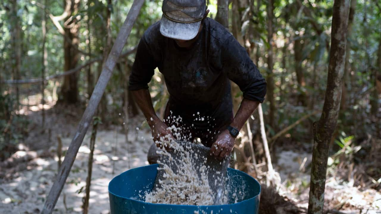 In Pics | Illegal Gold Miners Ravage Brazil’s Amazon Rainforest