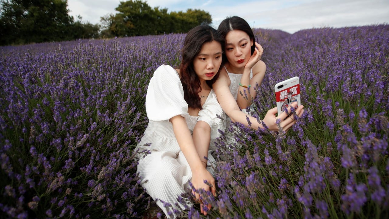 Women pose for a selfie in a lavender field at Hitchin Lavender farm in Ickleford, Britain, August 4. (Image: Reuters)