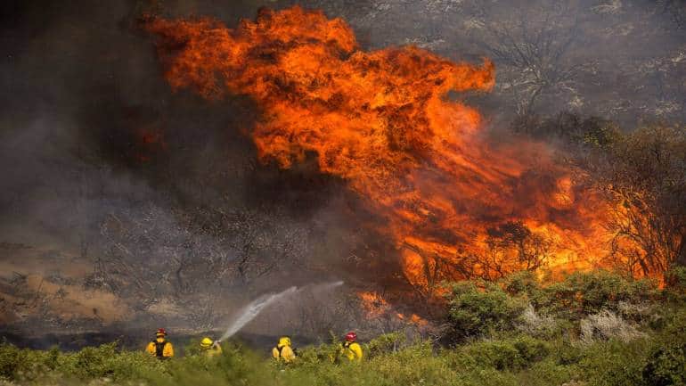 Firefighter work against the Apple Fire near Banning, California (Image courtesy: AP)