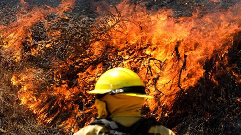 A firefighter watches the Apple Fire in Banning, California. As of Monday morning, it was 5% contained. The cause was under investigation. (Image Courtesy: AP)