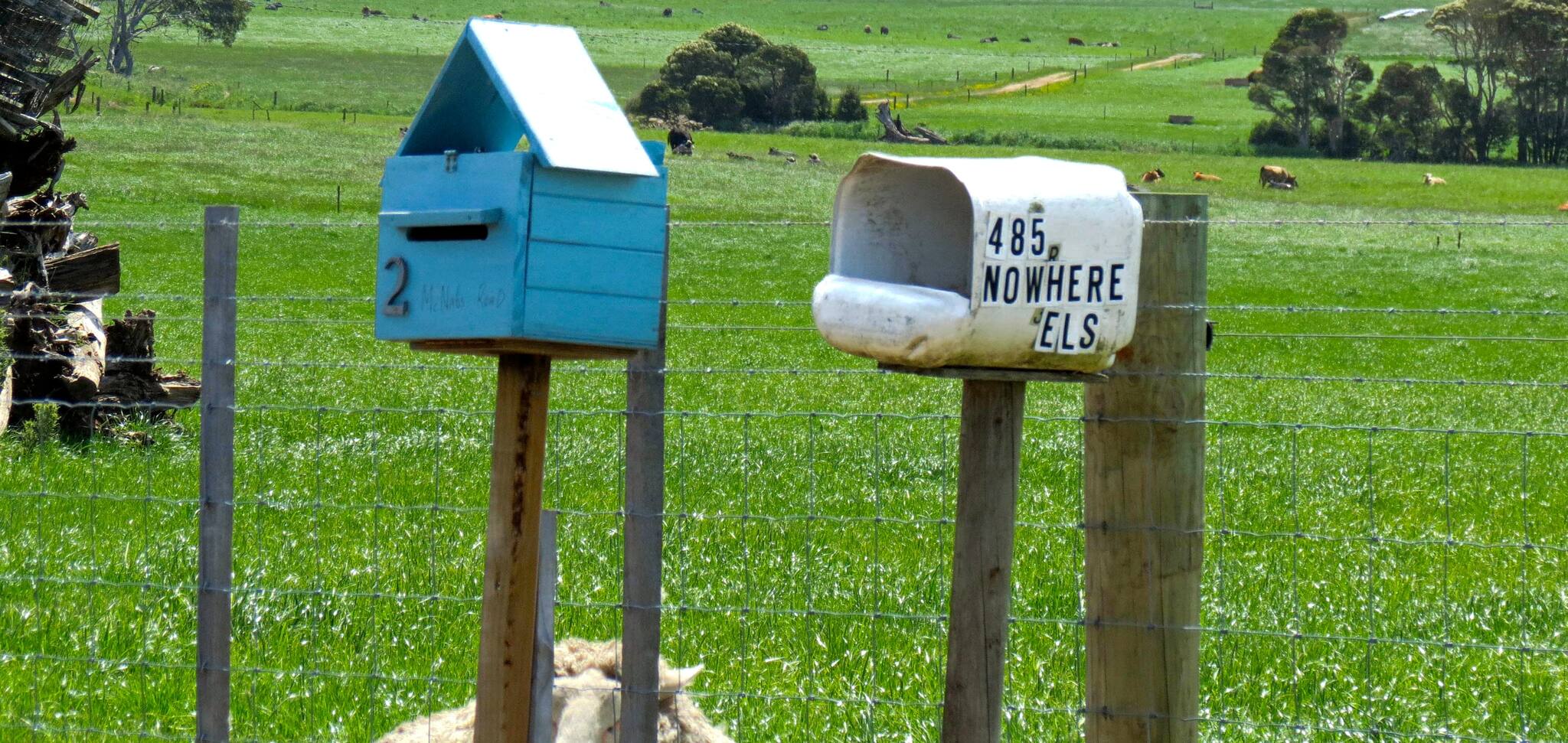 Letterboxes for 485 Nowhere Else Road