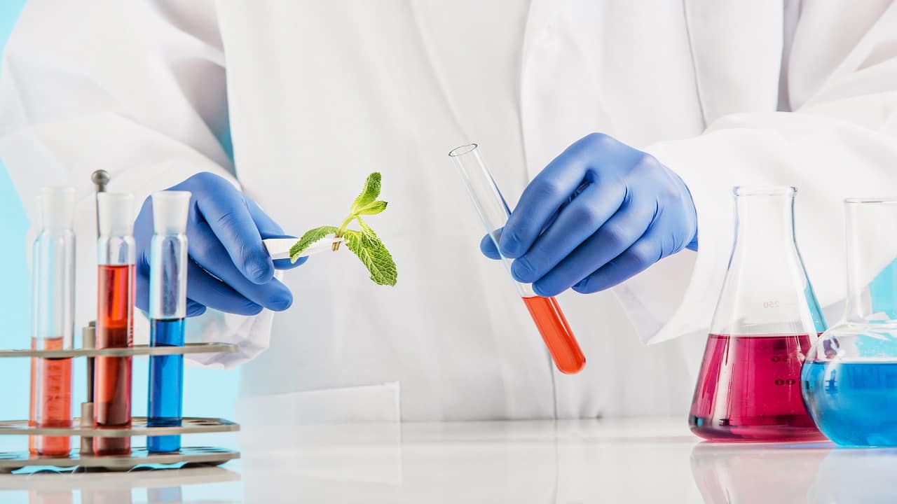 Homegrown PE fund ChrysCapital exploring stake sale in GVK Biosciences