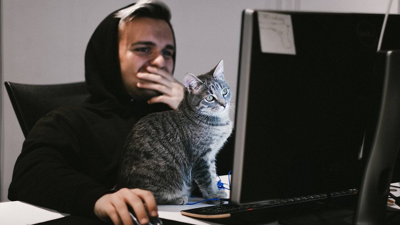 Column: Spending too much time on success porn? Here’s what not to do Column: Spending too much time on success porn? Here’s what not to do