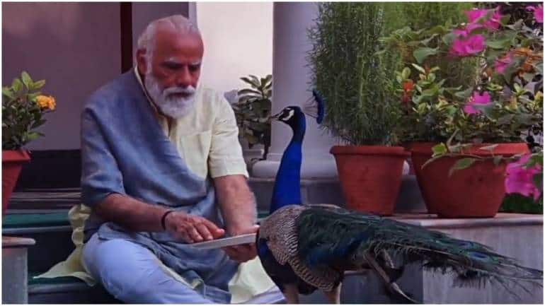 McKinsey Global Institute: Making the peacock dance