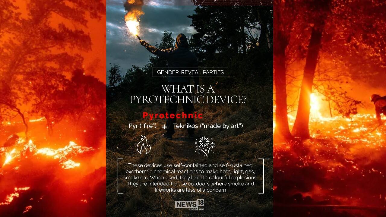 What is a pyrotechnic device? (Image: News18 Creative)
