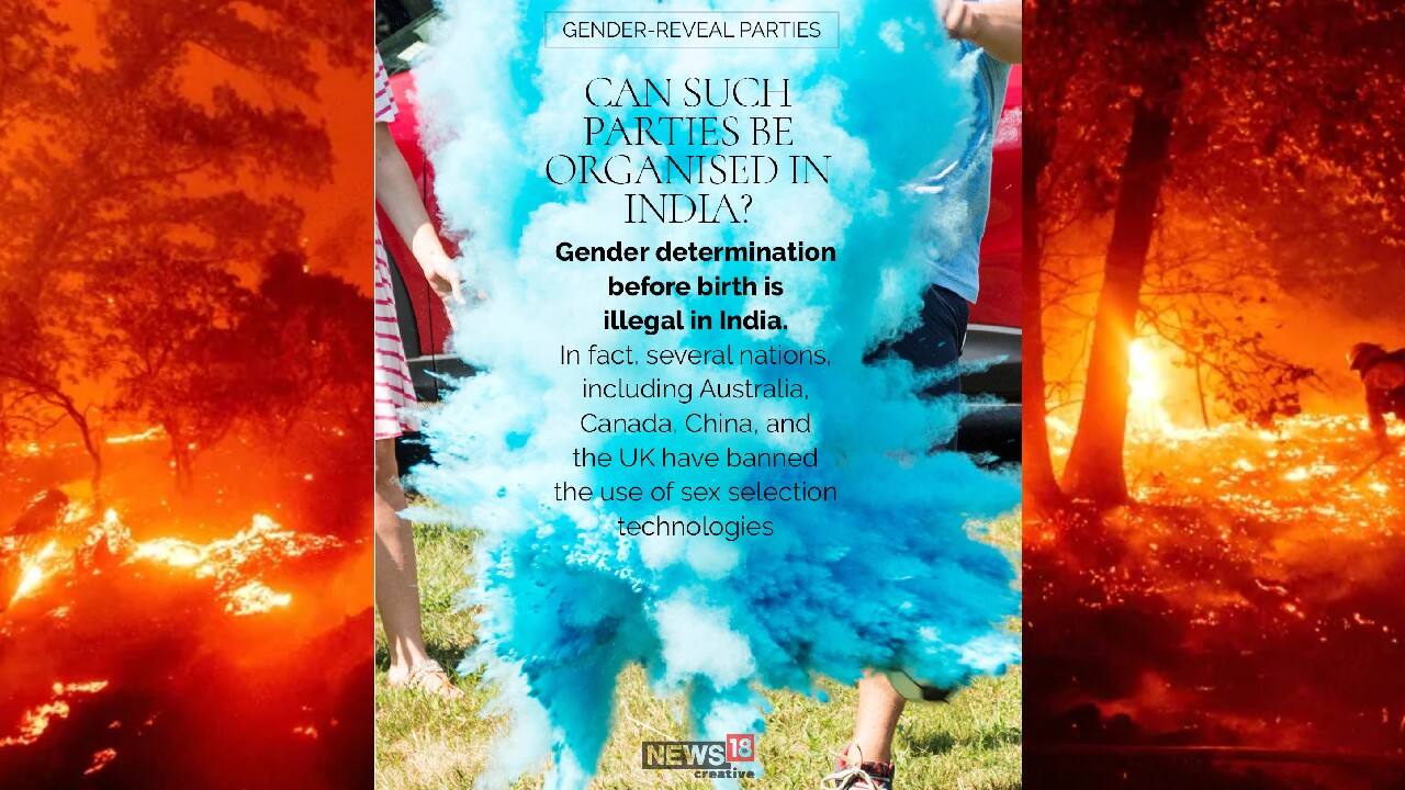 Can such parties be organized in India? (Image: News18 Creative)