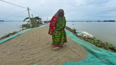 Why a normal monsoon may not be enough to signal a revival in rural demand