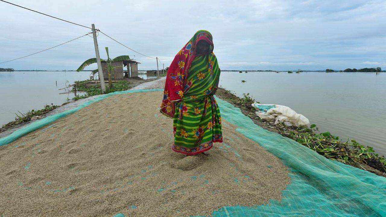 Kharif cultivation area shrinks 8% as monsoon off to a slow start Kharif cultivation area shrinks 8% as monsoon off to a slow start