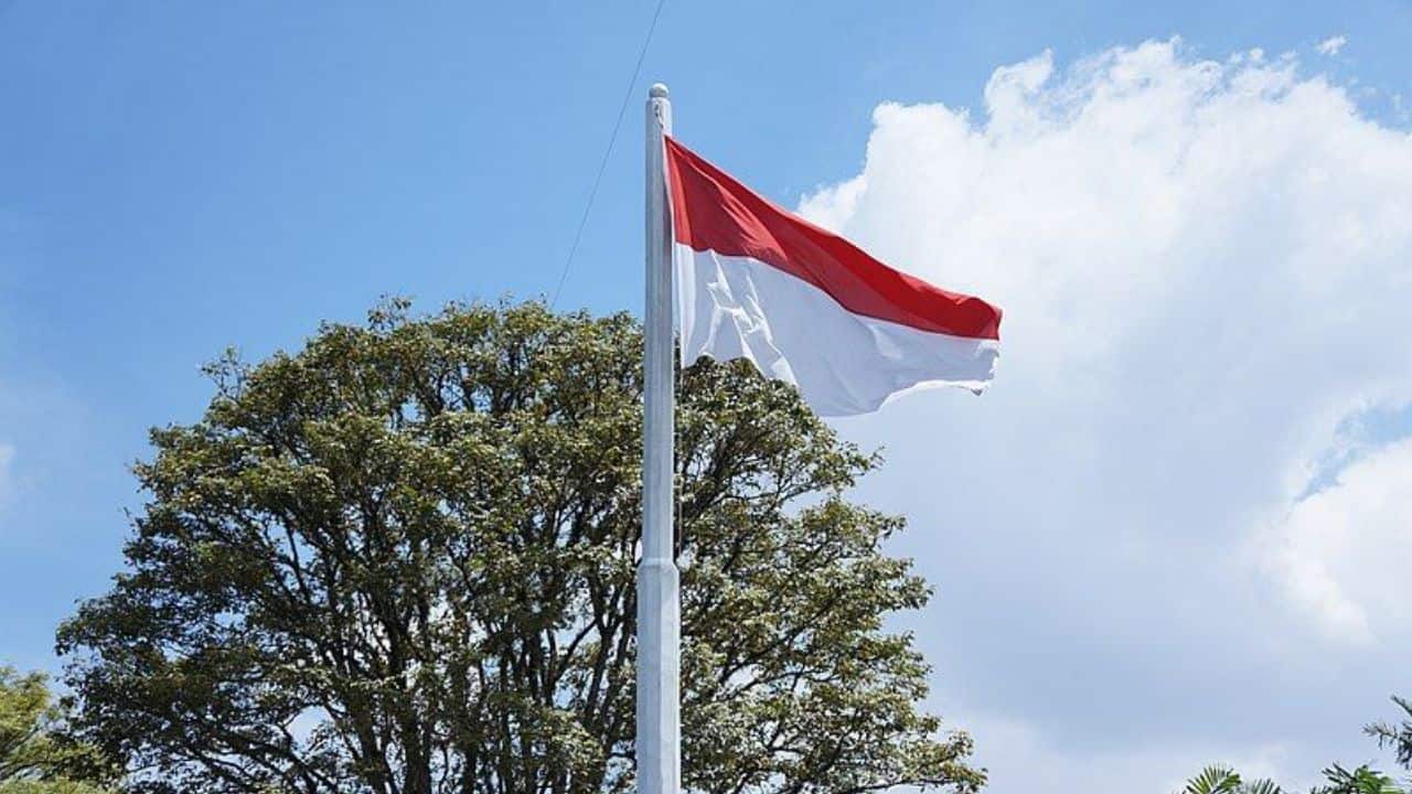 Indonesia menawarkan ‘visa emas’ untuk menarik investor asing