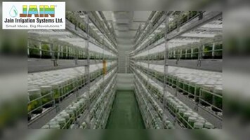 Jain Irrigation Systems stock jumps 9% as Q4 loss narrows to Rs 22 crore