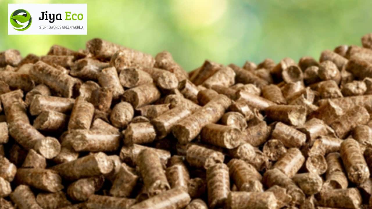 Jiya Eco-Products | Yogeshkumar C Patel sold 2,28,964 shares in company at Rs 8.89 per share on the NSE. (Image: jiyaeco.com) Jiya Eco-Products | Yogeshkumar C Patel sold 2,28,964 shares in company at Rs 8.89 per share on the NSE. (Image: jiyaeco.com)