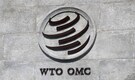 India takes Indonesia to WTO's safeguard committee on cotton yarn measure; seeks consultations