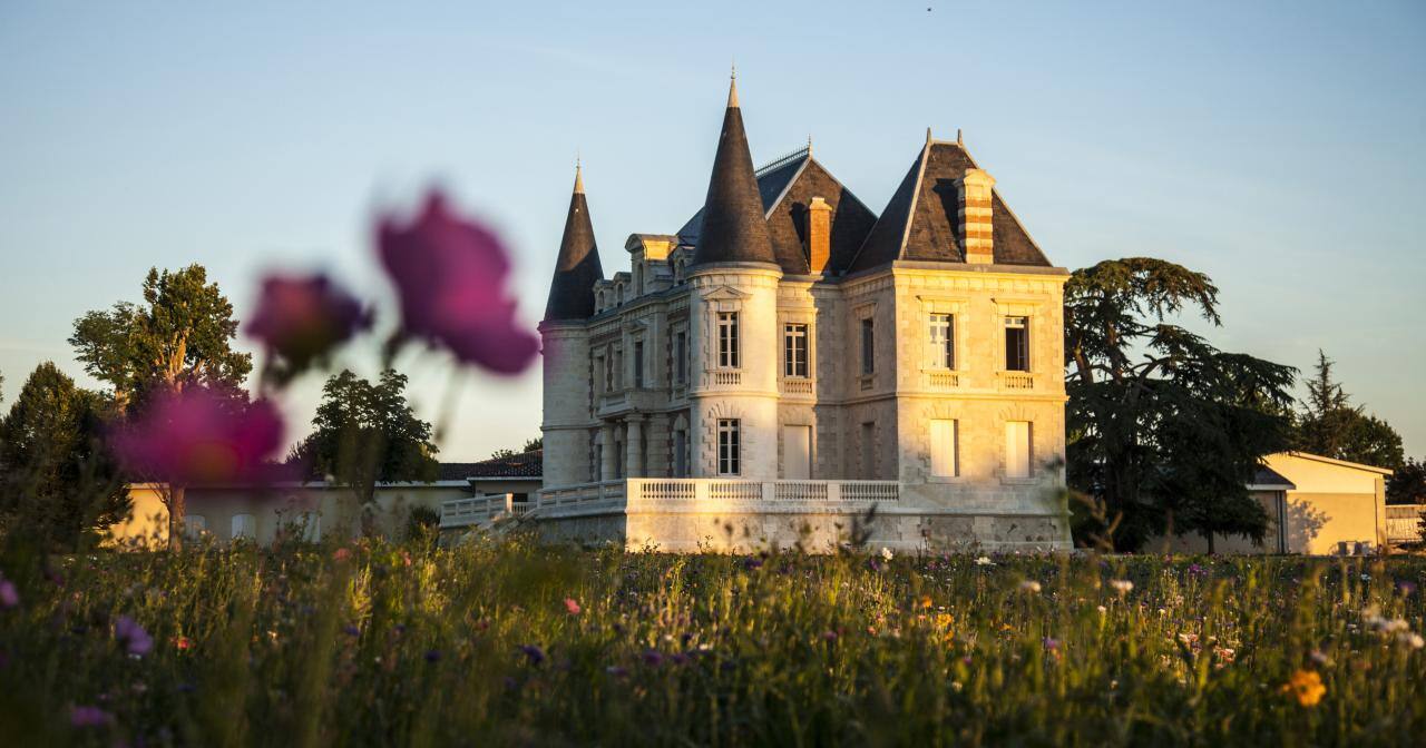 Bordeaux vineyards.