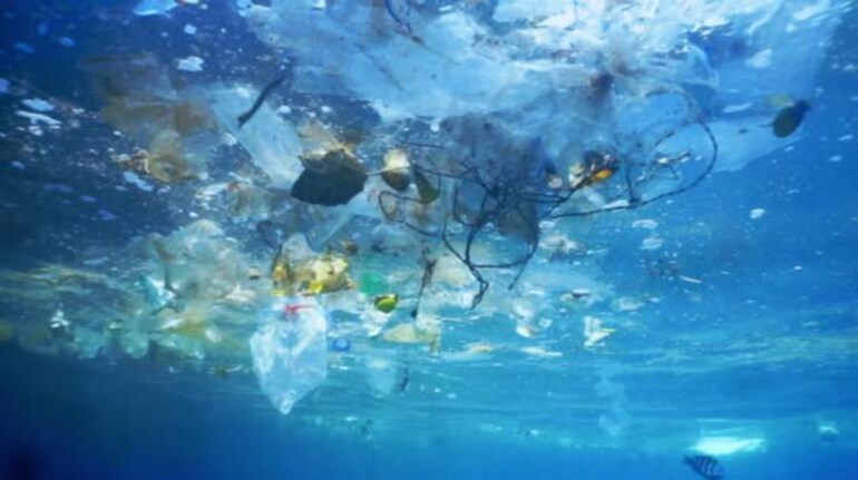 The ocean's biggest garbage pile is full of floating life